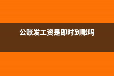 从公账发工资是怎么扣除个人所得税？(公账发工资是即时到账吗)