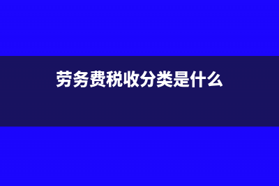劳务类税收分类编码有哪些？(劳务费税收分类是什么)