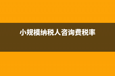小规模纳税人咨询费如何添加税收分类编码?(小规模纳税人咨询费税率)