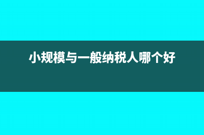 小规模与一般纳税人的二个共用科目(小规模与一般纳税人哪个好)
