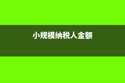 小规模纳税人金税盘锁死怎么办？(小规模纳税人金额)