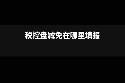 税控盘减税性质代码及名称如何填报？(税控盘减免在哪里填报)