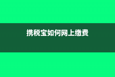 购买携税宝做怎样的会计分录？(携税宝如何网上缴费)