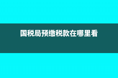 向国税局预缴税款时，应当提交什么资料？(国税局预缴税款在哪里看)