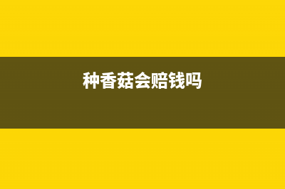 哪些情况下，企业可以延期申报纳税？(哪些情况下,企业需要进行分销渠道设计决策)
