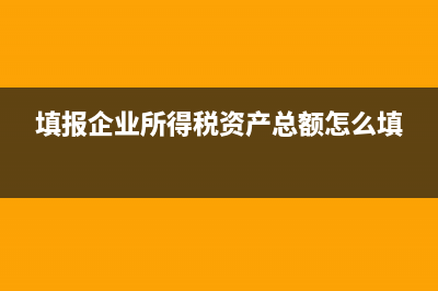 在填报企业所得税年报A类报表第A107014研发费用加计扣除优惠明细表时，数据都填不了？(填报企业所得税资产总额怎么填)