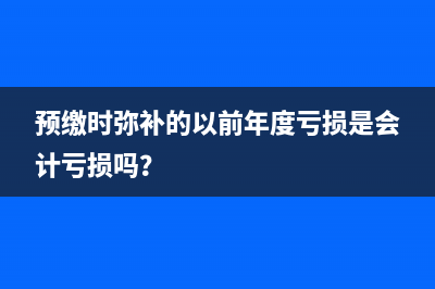 当年累计数额计算时，亏损是会计口径吗？(本年累计金额和上年金额)
