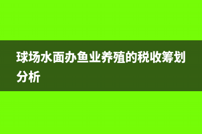 球场水面办鱼业养殖的税收筹划分析