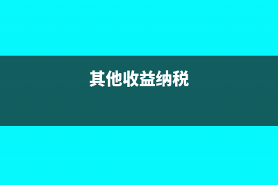 没有ca证书可以申报个税吗(没有ca证书怎么办社保)