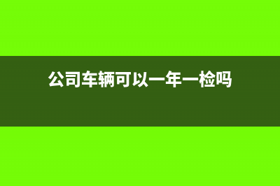 公司净资产在哪看(公司的净资产怎么看)