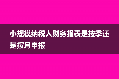 小规模纳税人财务报表报送小类怎么填(小规模纳税人财务报表是按季还是按月申报)