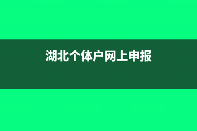 个体户网上申报税务操作流程(湖北个体户网上申报)