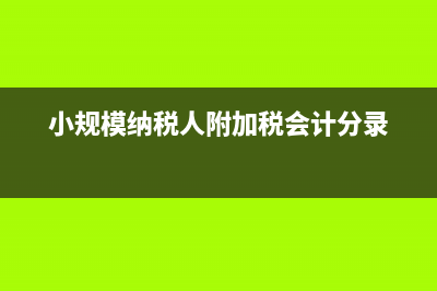 小规模纳税人能投标专业分包吗(小规模纳税人能抵扣进项发票吗)