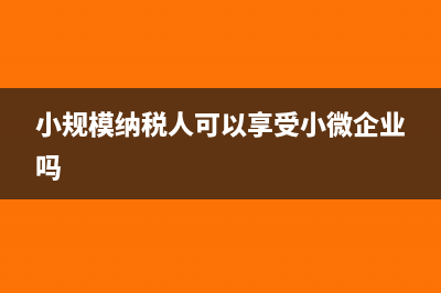 小规模企业允许无票收入下月开票吗?(小规模纳税人可以享受小微企业吗)