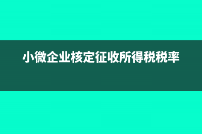小微企业核定征收所得税的报表应该怎么填写?(小微企业核定征收所得税税率)
