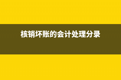 核销坏账的会计分录怎么做?(核销坏账的会计处理分录)