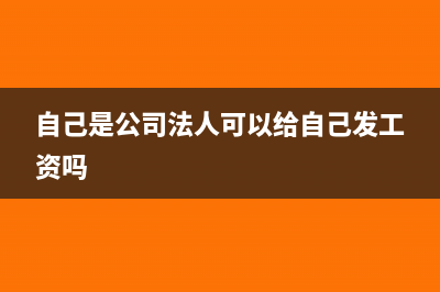 公司法人自己拿钱交电费怎么入账?(自己是公司法人可以给自己发工资吗)