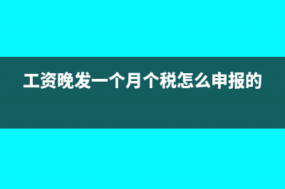 工资晚发一个月怎么做账?(工资晚发一个月个税怎么申报的)