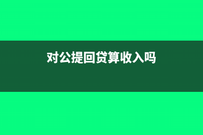 对公提回贷会计凭证怎样写摘要?(对公提回贷算收入吗)