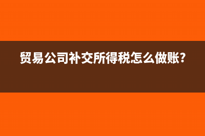 贸易公司补交所得税怎么做账?