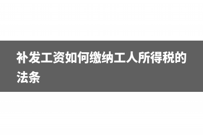 补发工资如何缴纳个人所得税(补发工资如何缴纳工人所得税的法条)
