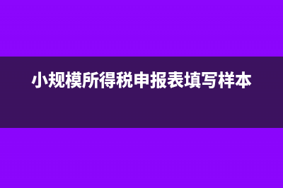 利润为负数所得税如何申报?(利润负数所得税怎么算)