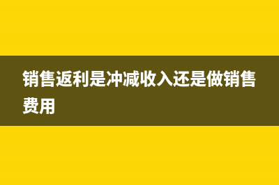 代政府采购汽车如何进行账务处理？(政府采购 汽车)