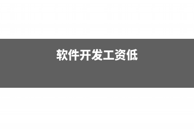 软件开发工资会计分录(软件开发工资低)