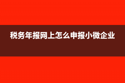 税务年报网上怎么申报(税务年报网上怎么申报小微企业)