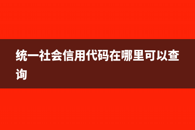 统一社会信用代码格式(统一社会信用代码在哪里可以查询)