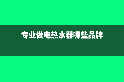 专业做电热水器的厂家(专业做电热水器哪些品牌)