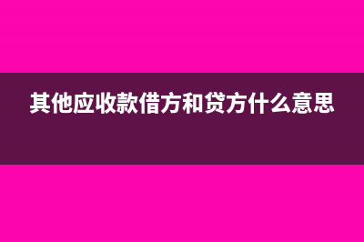其他应收款借方发生额表示什么(其他应收款借方和贷方什么意思)