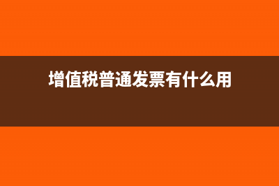 增值税普通发票开个人可以报销吗(增值税普通发票有什么用)