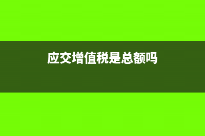 应交增值税是总分类科目吗(应交增值税是总额吗)