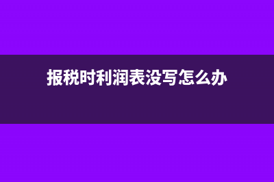 报税时利润表没有其他收益怎么填(报税时利润表没写怎么办)