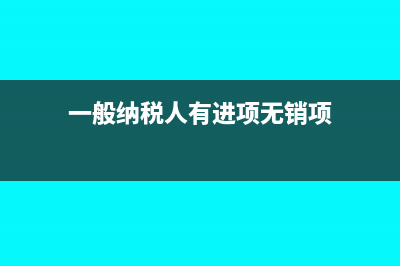 一般纳税人有进项无销项如何做账报税(一般纳税人有进项无销项)
