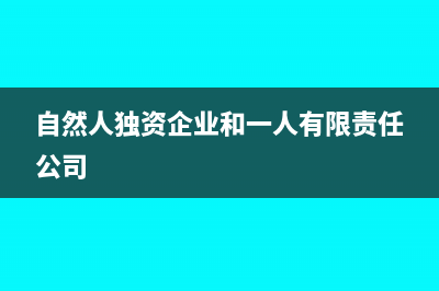 自然人独资企业企业所得税税率是多少(自然人独资企业和一人有限责任公司)