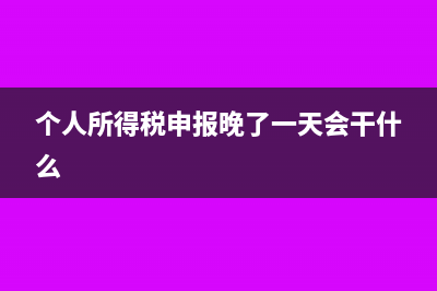 个税申报晚了会怎么样(个人所得税申报晚了一天会干什么)