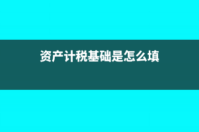 资产计税基础是原值吗(资产计税基础是怎么填)