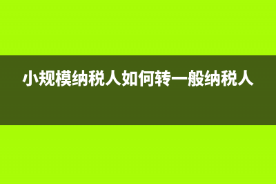 小规模纳税人如何在增值税表填列购买的金税盘(小规模纳税人如何转一般纳税人)