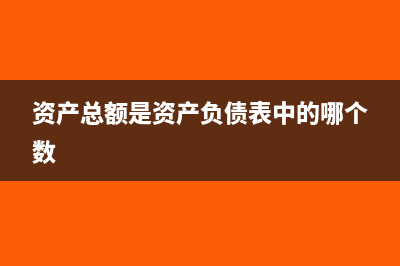 资产总额是资产总计吗(资产总额是资产负债表中的哪个数)