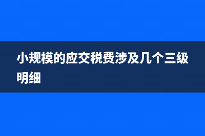 小规模的应交税费月底怎么处理(小规模的应交税费涉及几个三级明细)
