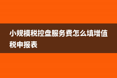 小规模税控盘服务费怎么申报(小规模税控盘服务费怎么填增值税申报表)