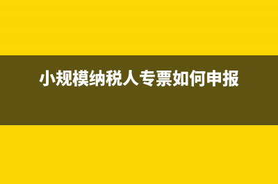小规模纳税人专票可以免税吗(小规模纳税人专票如何申报)