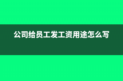单位发工资用途写错怎么办(公司给员工发工资用途怎么写)