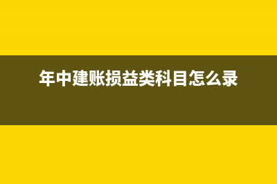 年中建账损益类科目怎么填(年中建账损益类科目怎么录)