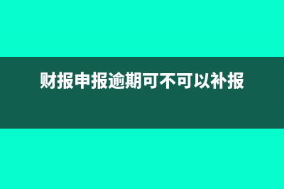财务报表逾期可以网上补报吗(财报申报逾期可不可以补报)