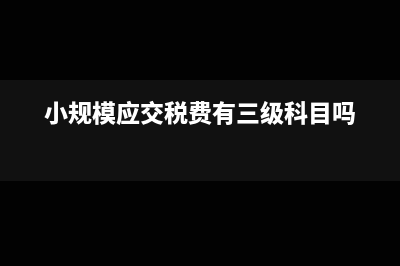小规模应交税费明细科目有哪些(小规模应交税费有三级科目吗)