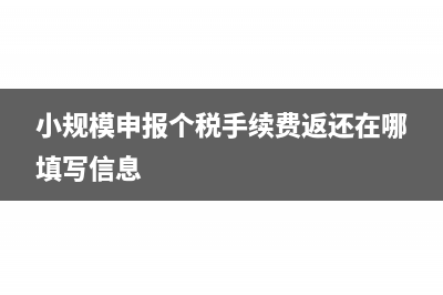 小规模申报个税怎么申报(小规模申报个税手续费返还在哪填写信息)