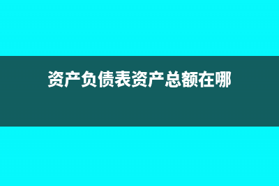资产负债表资产为负数可以申报吗(资产负债表资产总额在哪)